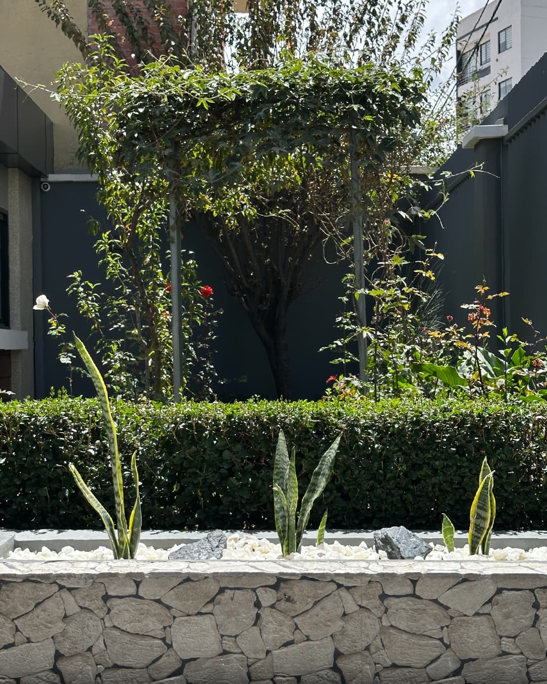Jardín de ingreso remodelado