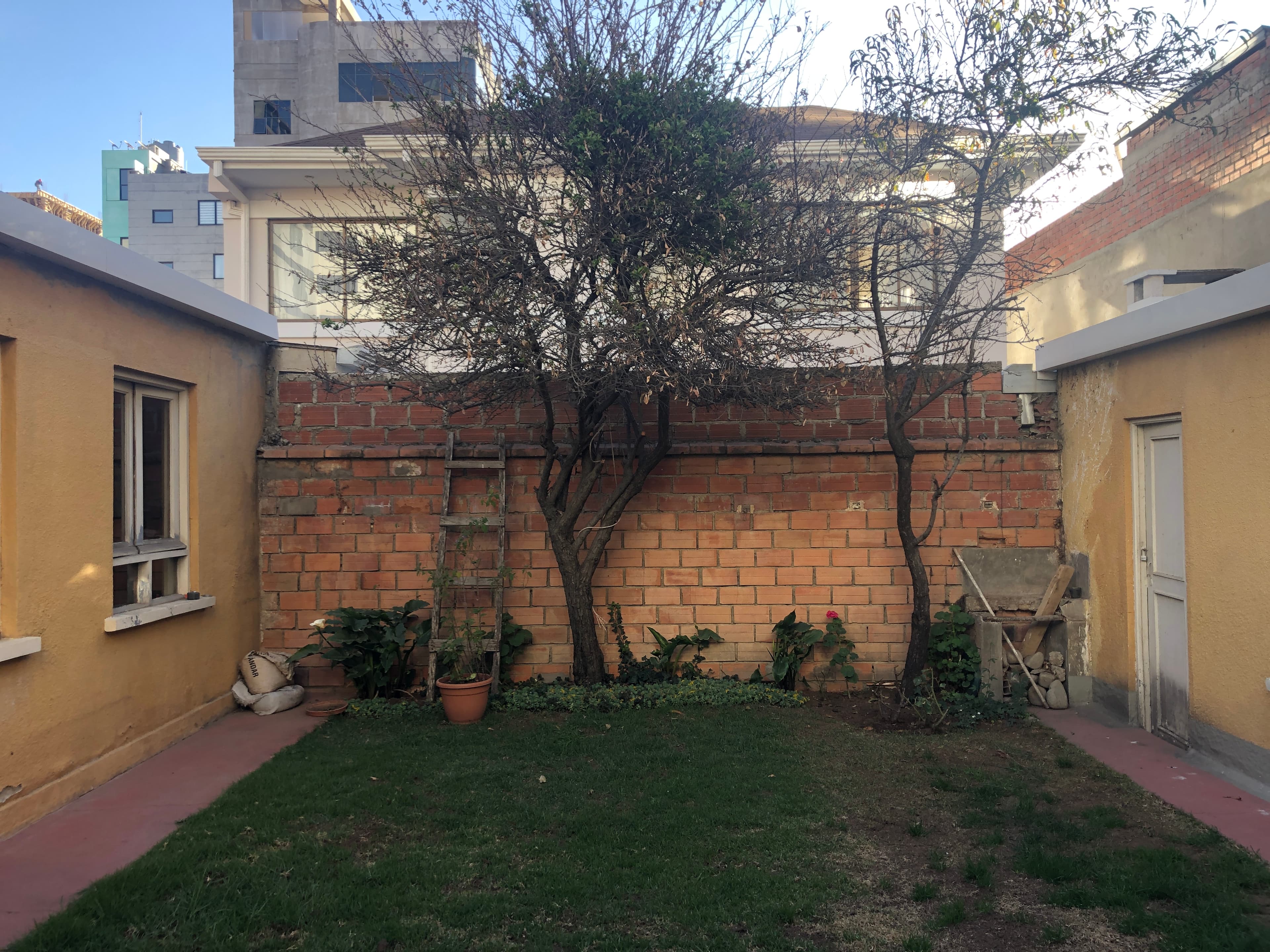 Jardín interior antes — pared de ladrillo expuesto, vegetación escasa